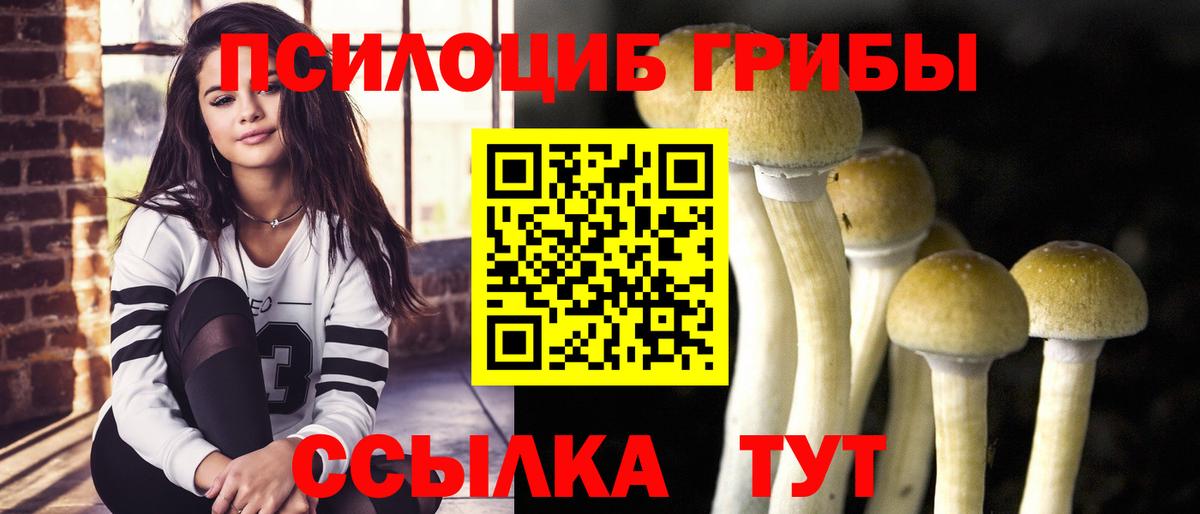 Псилоцибиновые грибы Psilocybine cubensis  Вход с VPN  Тихорецк 